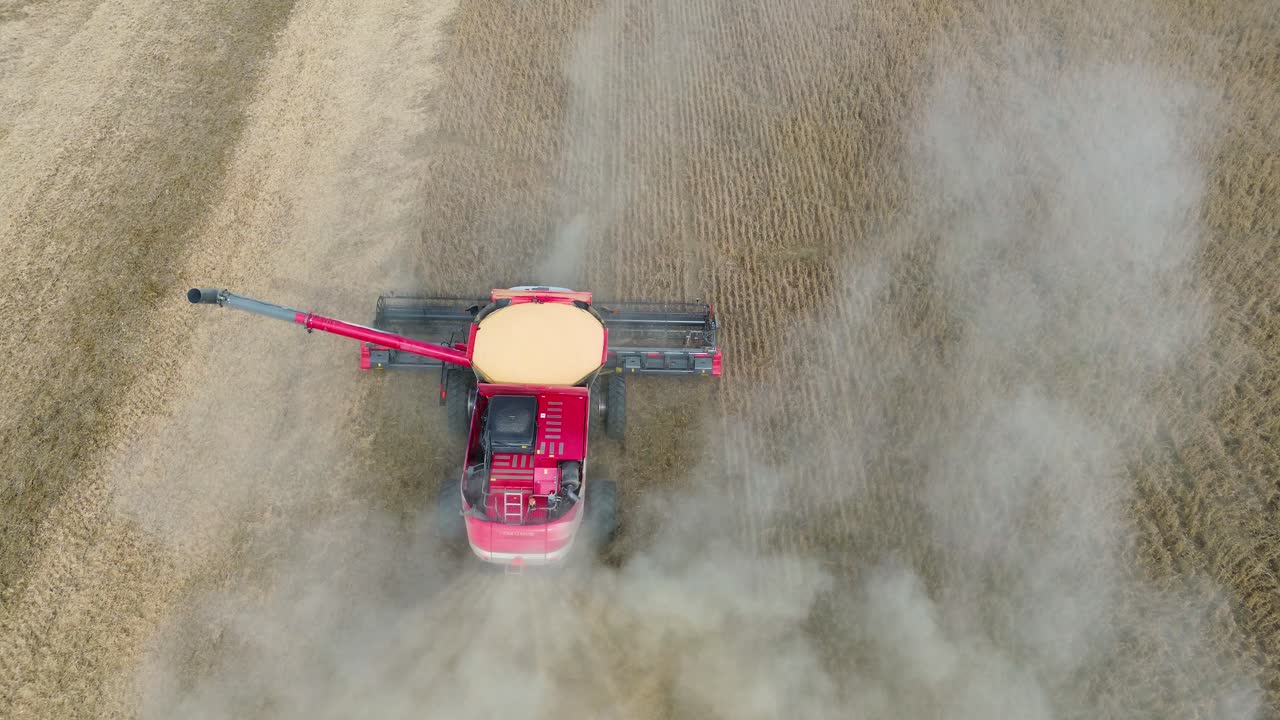 Farm Combine harvesting soybeans with trailed by a dust cloud on a Midwestern farm, aerial drone