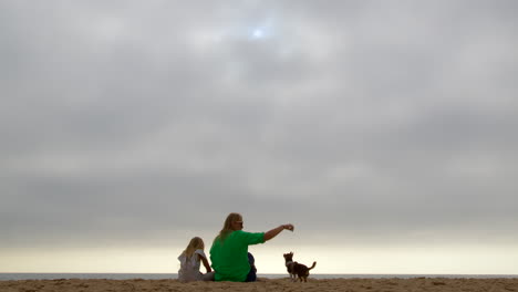 woman and girl playing with dog on the beach