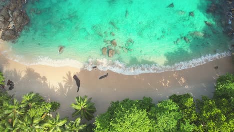 Amazing-shot-of-top-soil-beach-on-Mahe-island,-no-one,-calm-sea,-turquoise-water-and-rock-boulders-on-each-corner