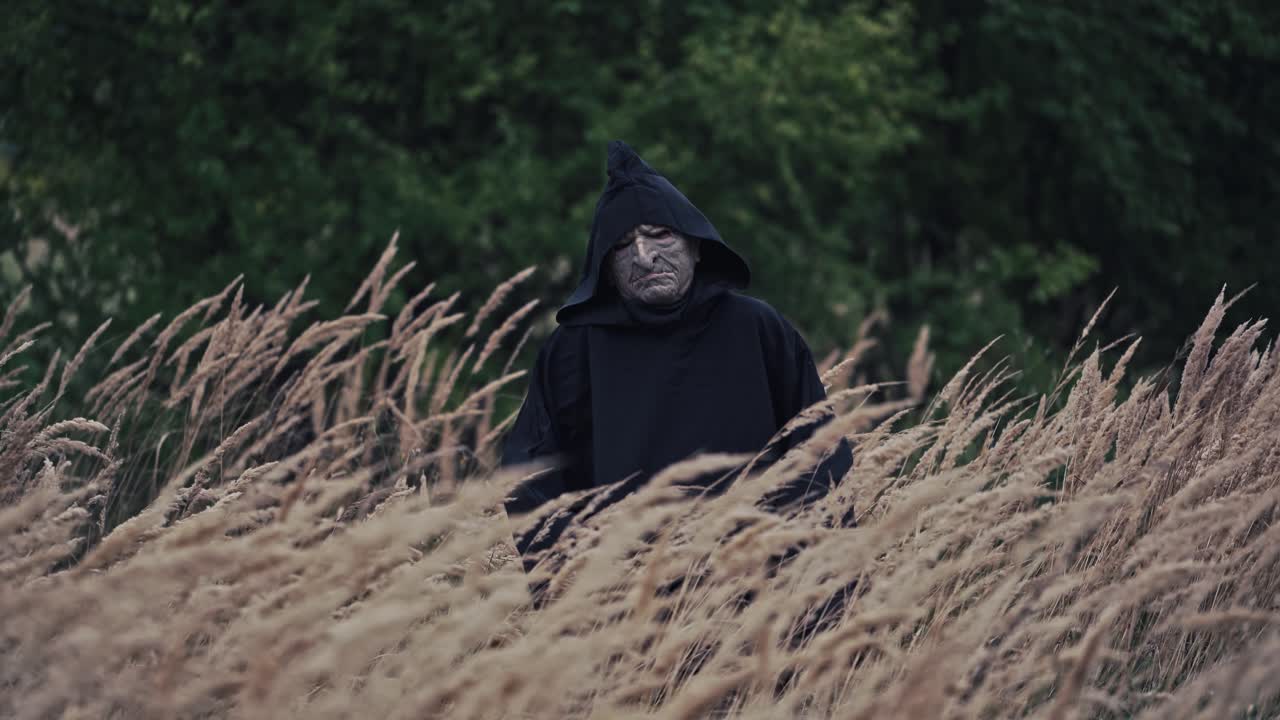 Wheat field and horrible ghost among nature. Dark figure appearing among ripe wheat on green trees background. Halloween concept.