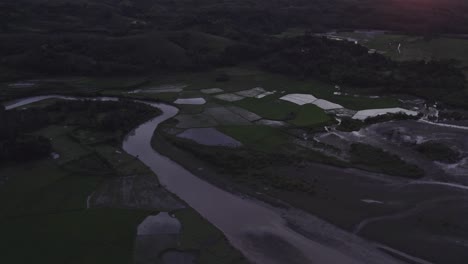 Tilt-up-shot-of-green-rice-fields-at-Sumba-island-Indonesia-sunrise,-aerial