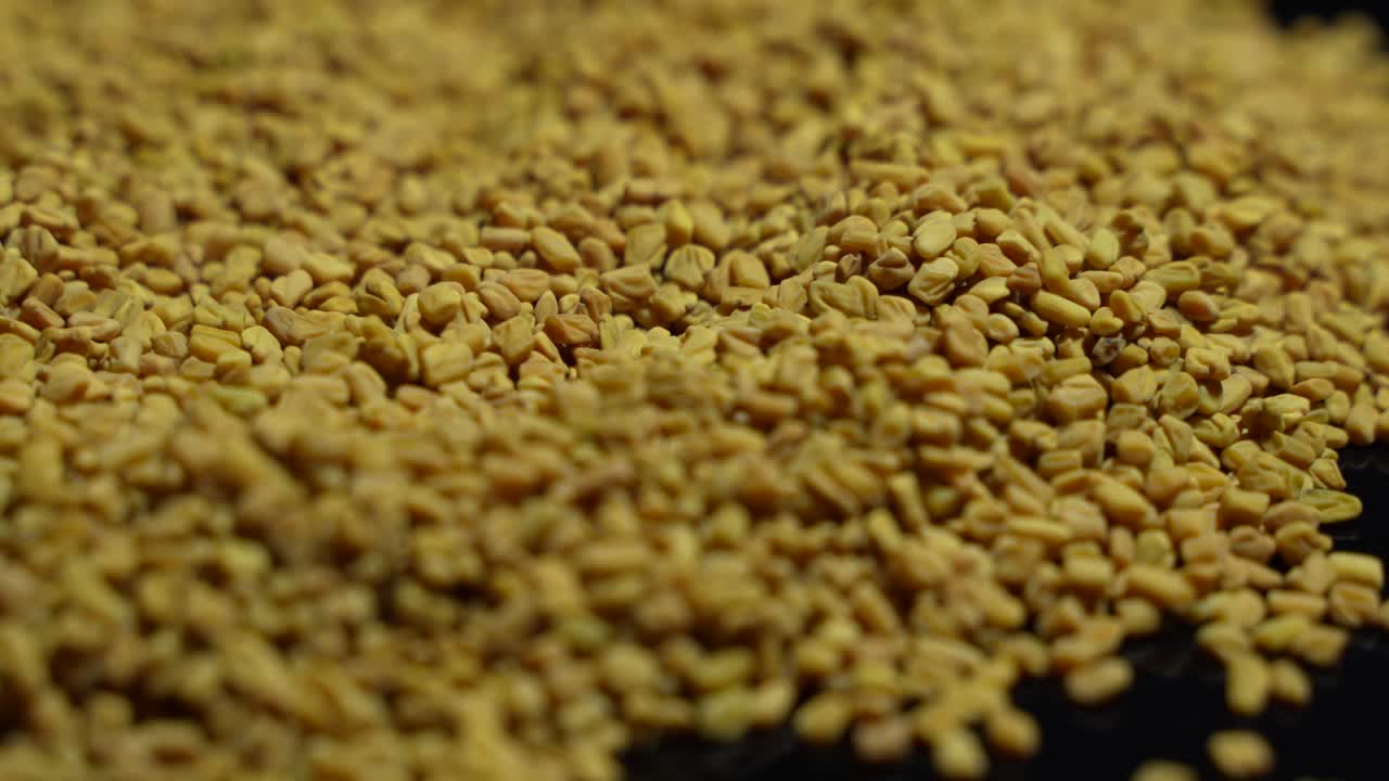 Fenugreek is a beneficial food for diabetes