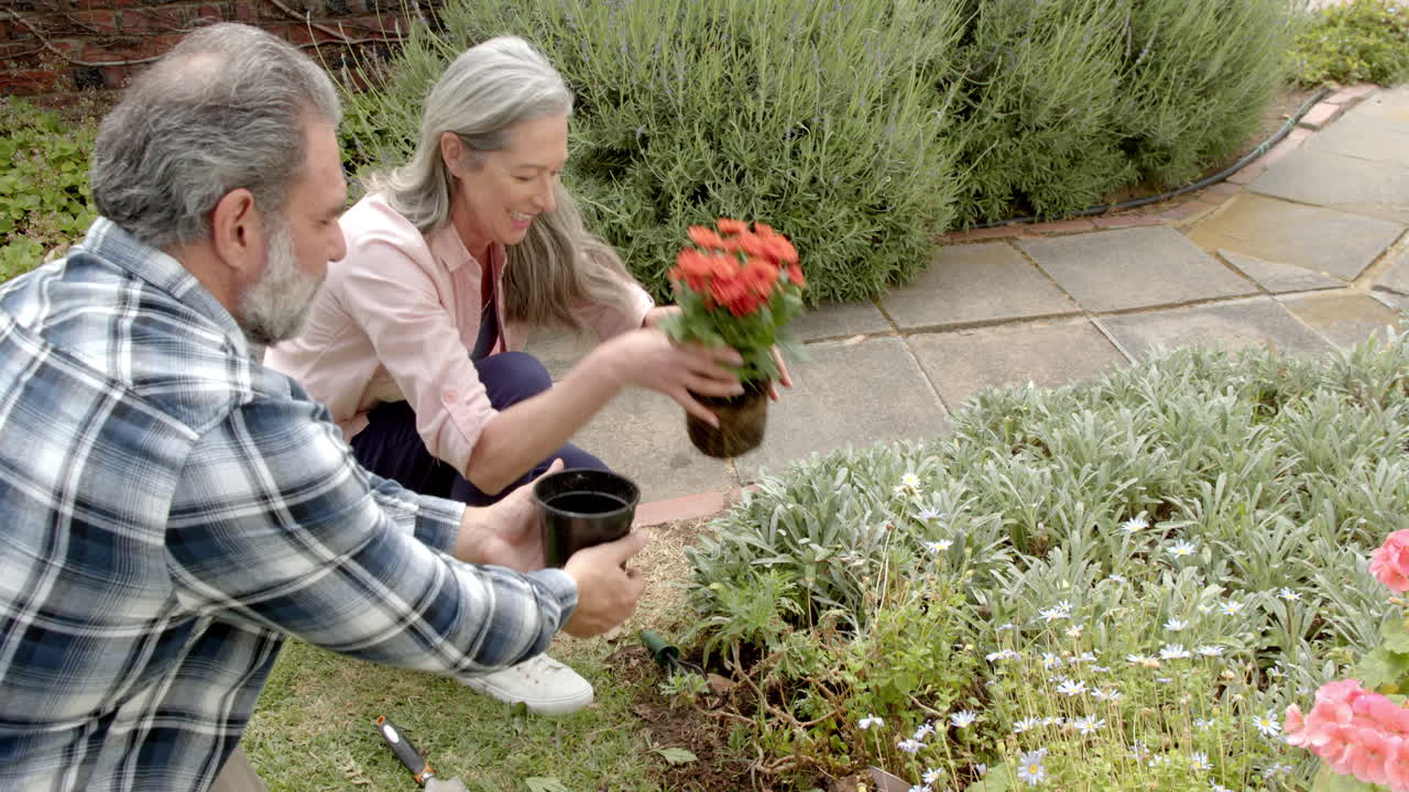 Mature couple gardening together, planting flowers in backyard, enjoying nature, copy space