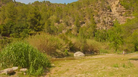 una mujer escalará las colinas llenas de pinos