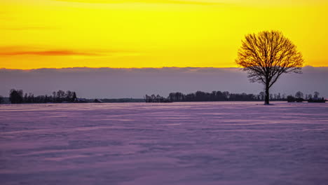 silueta de un árbol solitario en un paisaje cubierto de nieve fría con nubes rodantes que pasan y cielos de puesta de sol de color naranja dorado