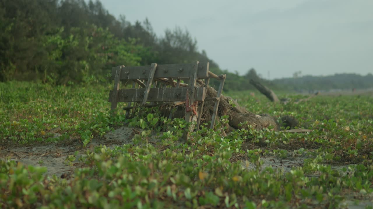 viejo carro de madera abandonado en la exuberante vegetación verde bajo cielos nublados, disparo de amplio ángulo