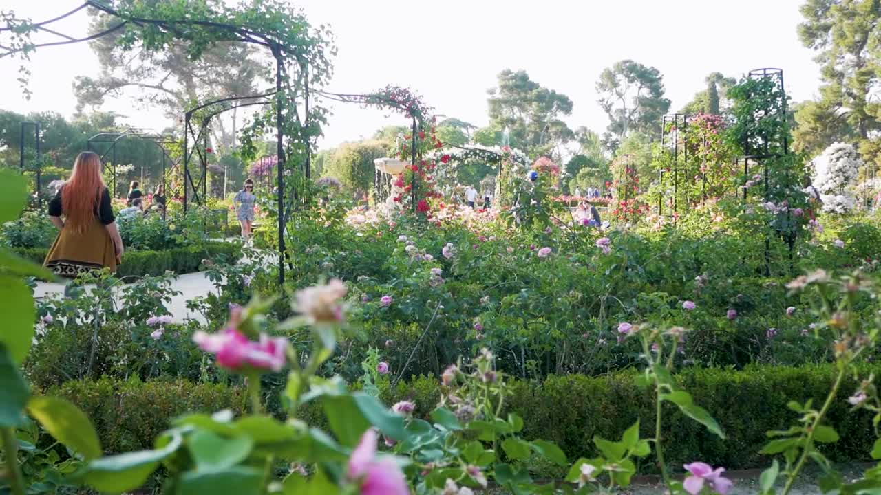 Female passenger with dyed hair walking by in a flower garden. Serene and picturesque garden scene.