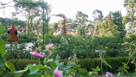 female passenger with dyed hair walking by in a flower garden. serene and picturesque garden scene.