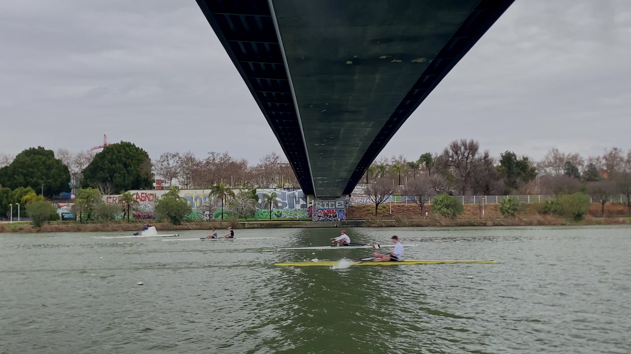 Underneath a modern bridge, people are rowing on a serene river, with urban graffiti visible on the embankment walls