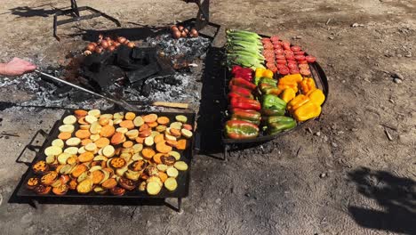 savory vegetables and ribs in a vineyard setting