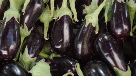 pile of fresh eggplants