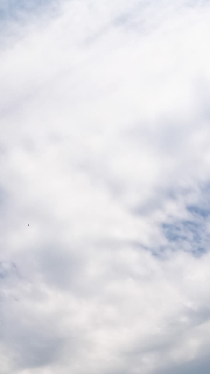White clouds covering the sky quickly. Blue horizon clears up. Low angle view. Timelapse. Vertical video