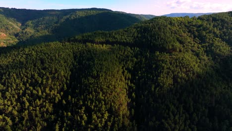 mountains covered with densely forests in ribeira sacra near belesar, galicia, spain