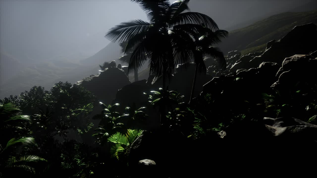 los rayos del atardecer a través de las palmeras