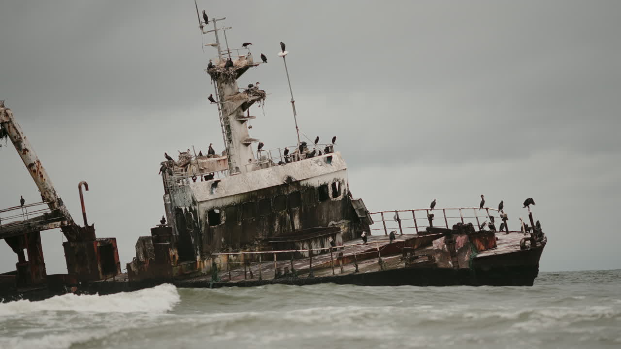 Rusty Shipwreck on a Stormy Coastline with Birds