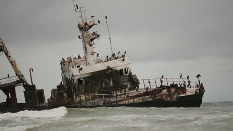 rusty shipwreck on a stormy coastline with birds