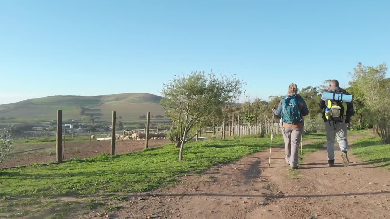 pareja de ancianos afroamericanos con mochilas caminando en la naturaleza soleada con espacio de copia, cámara lenta