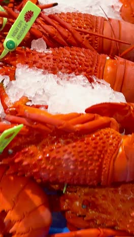 vibrant display of seafood at australian market