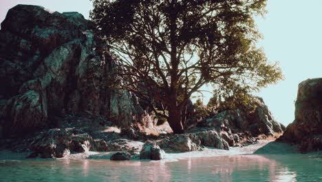 view-of-lonely-tree-at-rocky-cliff