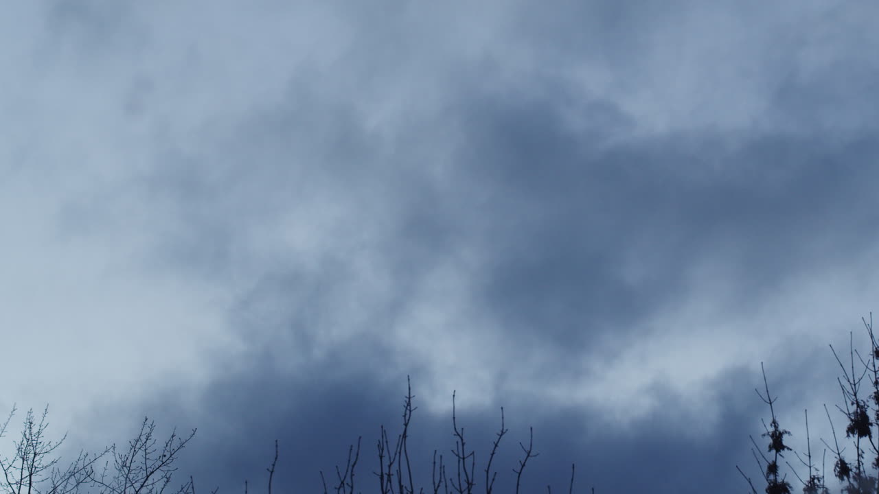 Cloudy Sky with Tree Branches