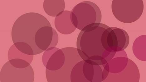 círculos aparecen y desaparecen, animación del movimiento de círculos transparentes. tonos de rojo. composición horizontal, calidad de video 4k