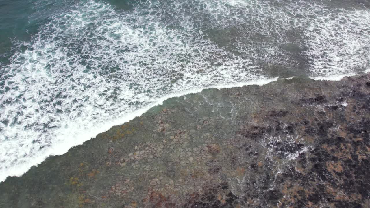 Scenic Tropical Beach with Palm Trees and Lava Rocks in São Tomé and Principe