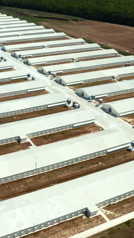 poultry farm buildings. aerial view of modern poultry facility in rural area