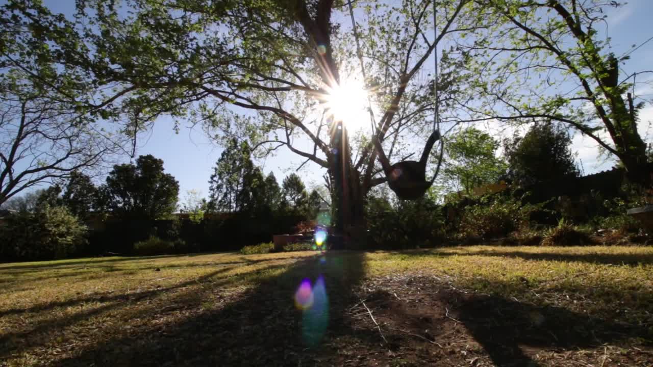 columpio vacío en el árbol balanceándose en el jardín