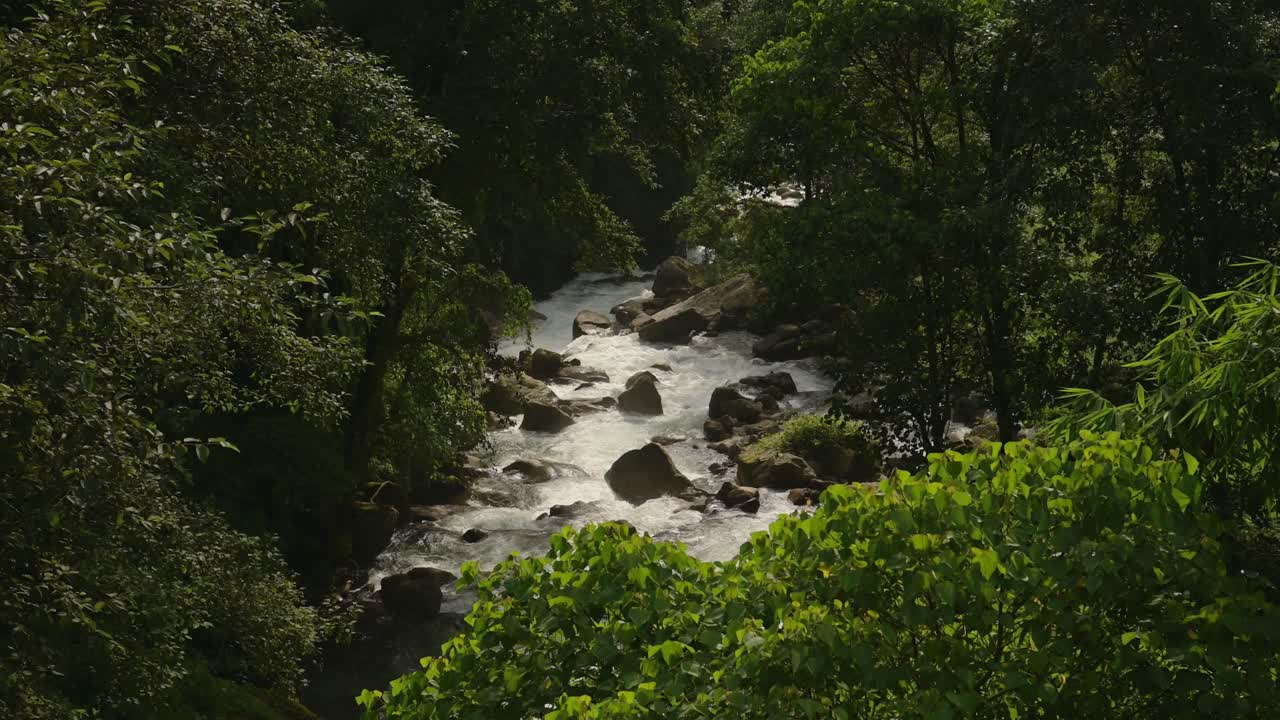 Tropical River in the Rainforest Jungle in Nepal, Himalayas River Scenery in Green Lush Luscious Landscape with Trees, Elevated View of a River in the Himlayas Mountains