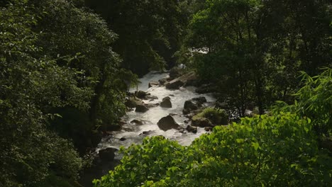 tropical river in the rainforest jungle in nepal, himalayas river scenery in green lush luscious landscape with trees, elevated view of a river in the himlayas mountains