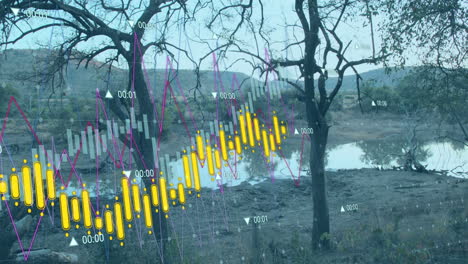 animación del procesamiento de datos financieros sobre el paisaje