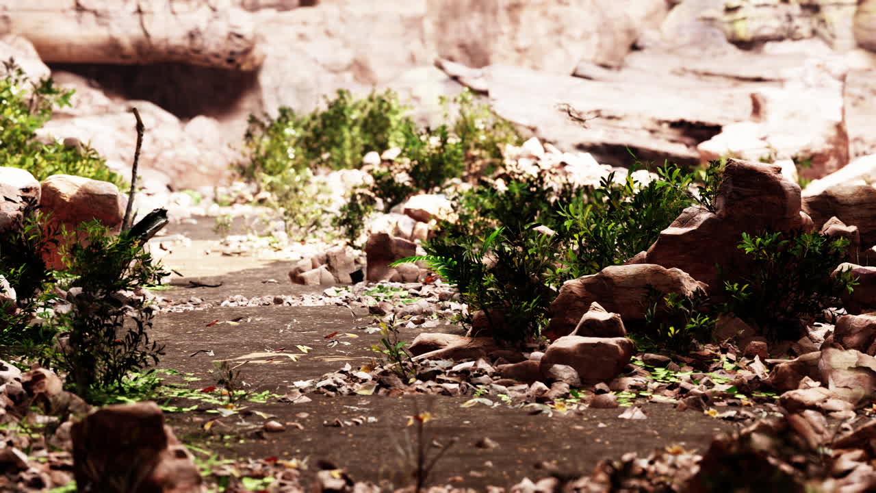 열대 우림 의 놀라운 고대 동굴