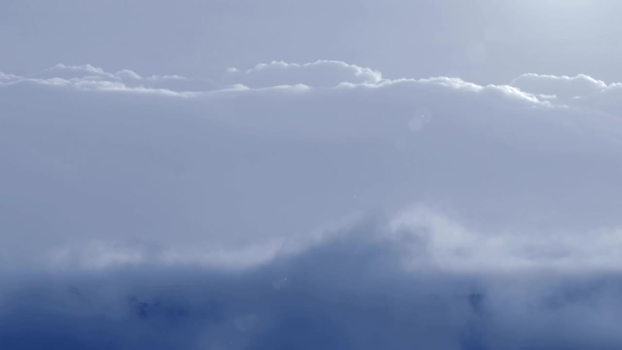 열대우림 위의 안개와 4k 타임스