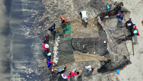 birds view of fishermen around fishing net beach palomino colombia