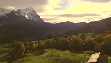 aerial drone footage pushing in over alpine meadows and sycamore maple trees towards eiger north face, autumn