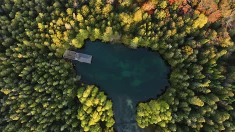 aerial, clear freshwater spring in pine forest with viewing platform, straight down view