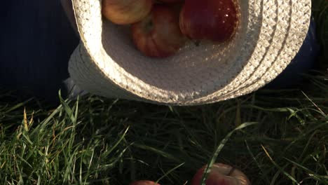 manzanas rojas maduras que caen de un sombrero de paja plano medio