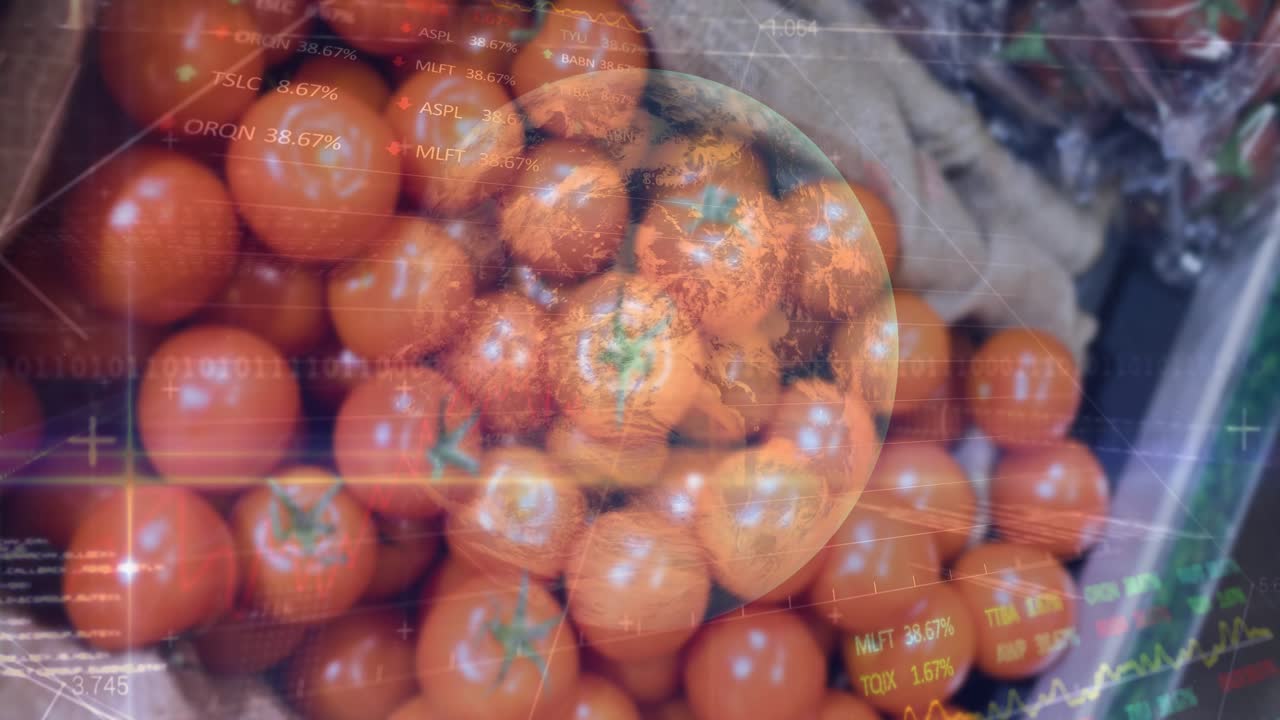 Overlay fading in, HUD pulsing and scanning over dense pile red tomatoes, visualizing supply data