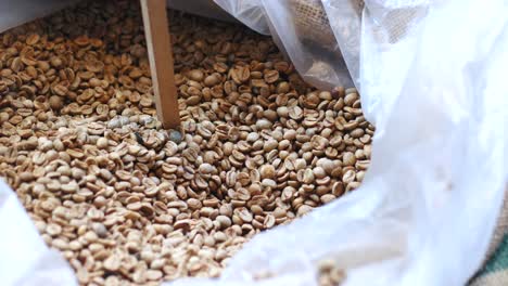 granos de café crudos en una bolsa
