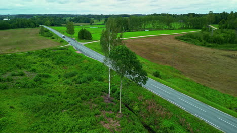 Vorbeifahrende-Autos-Aus-Der-Luft,-Natur-Mit-Totem-Grasfeld-Am-Straßenrand