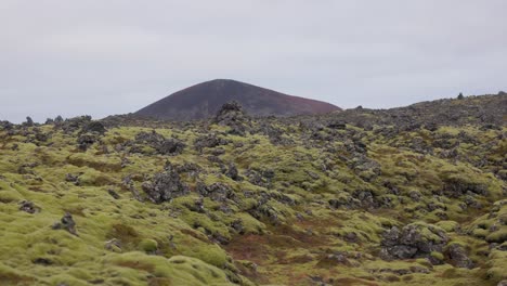 formaciones de rocas de lava paisaje lunar cerca de selvallafoss, islandia - toma aérea de camiones a baja altura izquierda