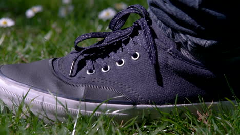 man stepping on a daisy flower in a green grass field, environmental problem, concept shot