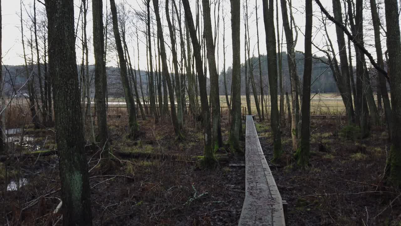 습한 습지대 위의 좁은 진흙 산책로는 조류 관찰 타워로 이어집니다.