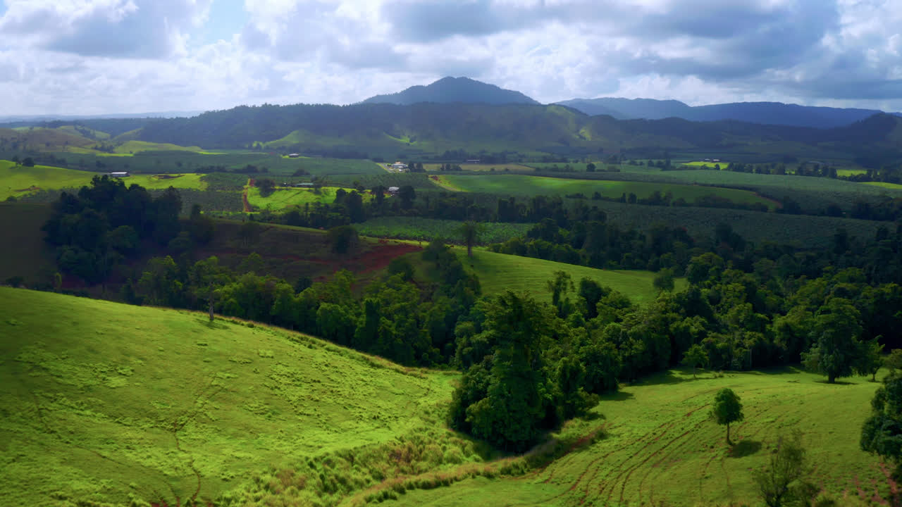 hermoso paisaje de exuberante naturaleza verde en las mesetas de atherton, queensland, australia