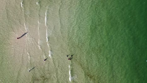 topdown view along beach shore, tourists bathing in crystal clear water with dark algae, vietnam