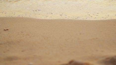 Toma-En-ángulo-Bajo-De-Olas-Rodando-Suavemente-Hacia-Una-Playa-De-Arena-Dorada-En-El-Caribe-Al-Atardecer