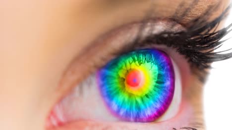 close up of female colorful eye against white background