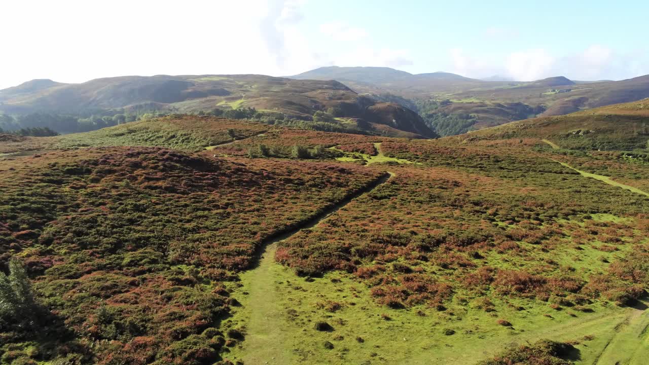조감도 농촌 다채로운 헤더 견고한 웨일스 어 산 계곡 시골 낮은 끌어