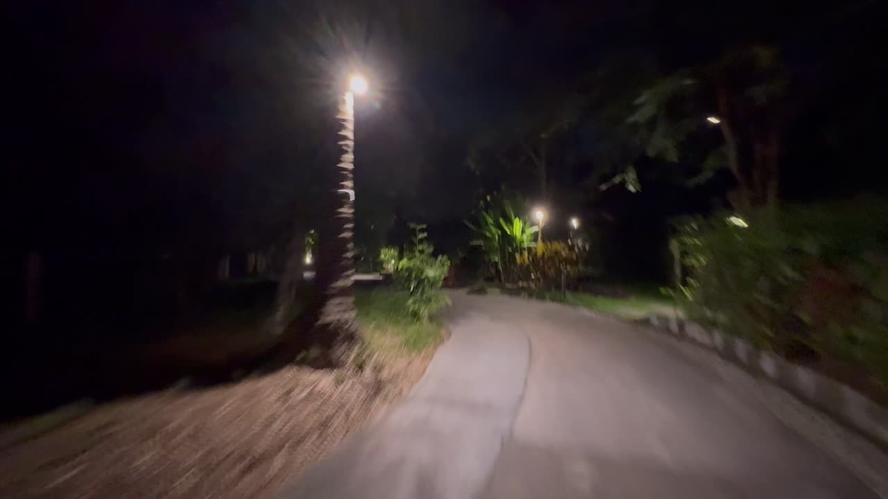 Night Path in a Garden