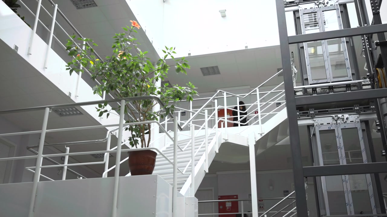 Vista de baixo para cima dentro de um átrio moderno e luminoso com escadaria de metal pintada de branco, corrimãos, passarela superior, grande ficus em vaso com folhas brilhantes, flores alaranjadas, claraboia e arquitetura industrial